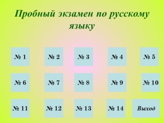 Пробный экзамен по русскому языку
