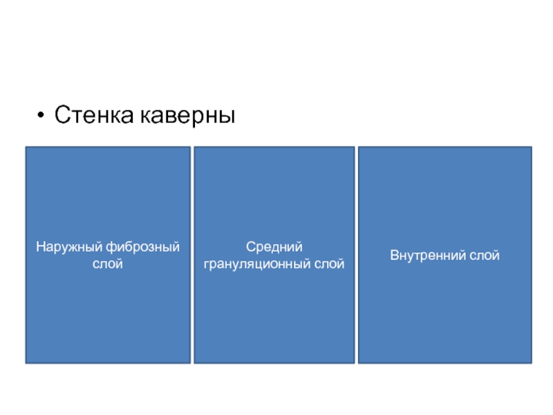 Исследуйте нулевую каверну с билли. Стенка туберкулезной каверны.