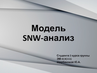 Модель SNW-анализ