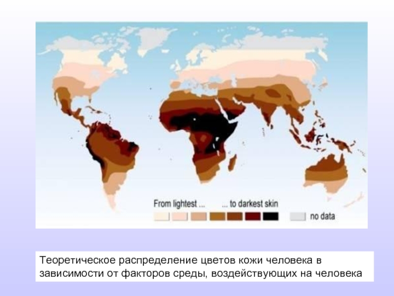 Теоретическое распределение цветов кожи человека в зависимости от факторов среды, воздействующих на человека