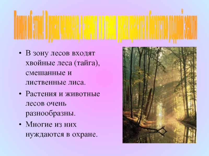 Когда вхожу в лес слышу егорову. Богатства Лесной зоны. Главное богатство тайги. Тайга наше богатство. Богатства Тайга дает человеку.