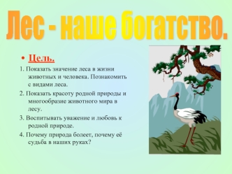 Лес - наше богатство.