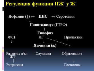 Регуляция функции ПЖ у Ж