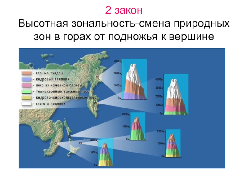 Широтная зональность схема