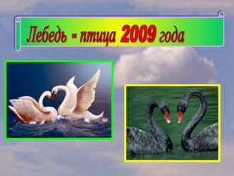 Лебедь - птица 2009 года