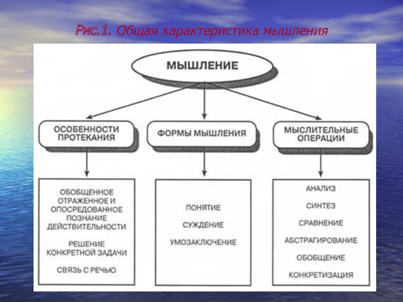 Виды мышления и их характеристика презентация