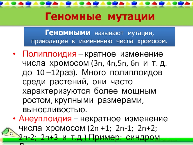 Кратное изменение числа хромосом это. Анеуплоидия Тип мутации. Изменение числа и парности хромосом полиплоидия и анеуплоидия.