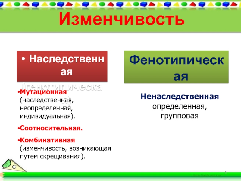 Соотносительная изменчивость. Изменчивость определенная и Неопределенная и соотносительная. Индивидуальная и групповая изменчивость. Соотносительная наследственная изменчивость. Мутационная комбинативная соотносительная изменчивость.