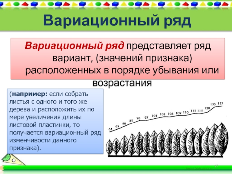 Ряд значений вариант. Вариационный ряд. Вариационный ряд пример. Вариационный ряд это в биологии. Построение вариационного ряда.