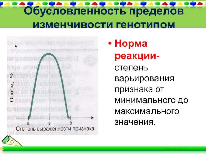 Презентация по биологии 9 класс модификационная изменчивость норма реакции