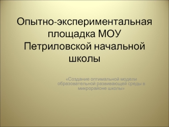 Опытно-экспериментальная площадка МОУ Петриловской начальной школы