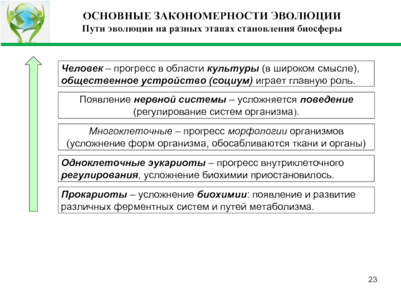 Реферат: Массовые вымирания организмов в истории биосферы