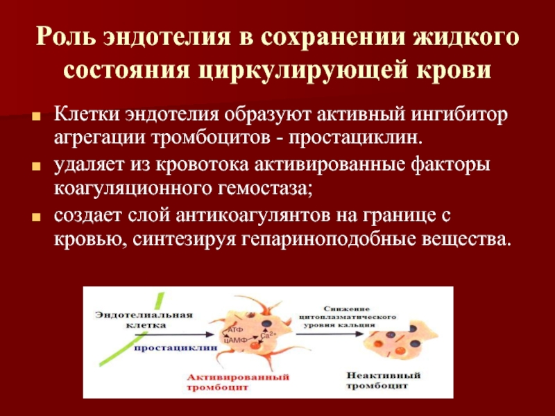 Иммунные белки крови. Ингибиторы агрегации тромбоцитов. Система крови физиология. Группы крови физиология.