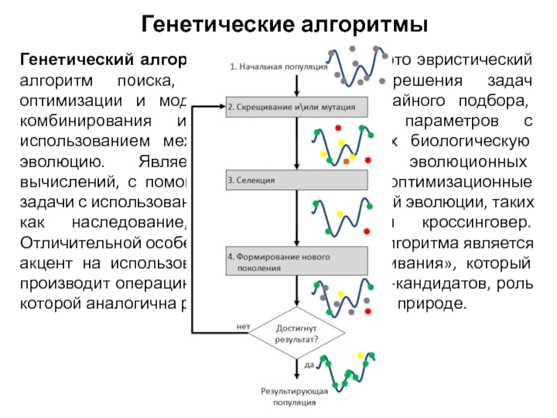 Моделирование генетического алгоритма. Структура генетического алгоритма. Генетический алгоритм.