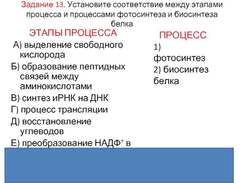 Установите соответствие между характеристиками и процессами обозначенными на схеме биосинтеза белка