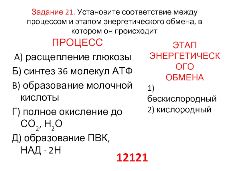 Энергетический обмен егэ. Образование молочной кислоты этап энергетического обмена. Окисление молочной кислоты этап. Образование двух молекул ПВК этап энергетического обмена. Установите соответствие между процессами энергетического обмена.