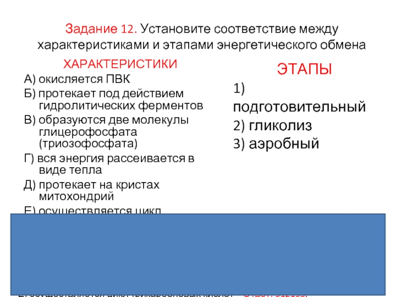 Установите соответствие между этапами энергетического обмена