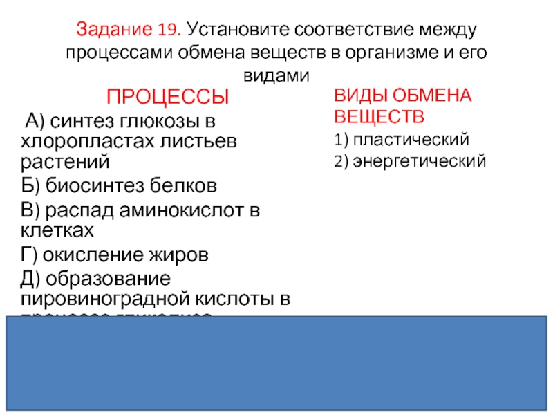 Установите соответствие между процессами энергетического обмена