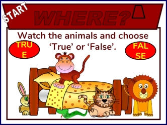 Watch the animals and choose true ‘true’ or ‘false’