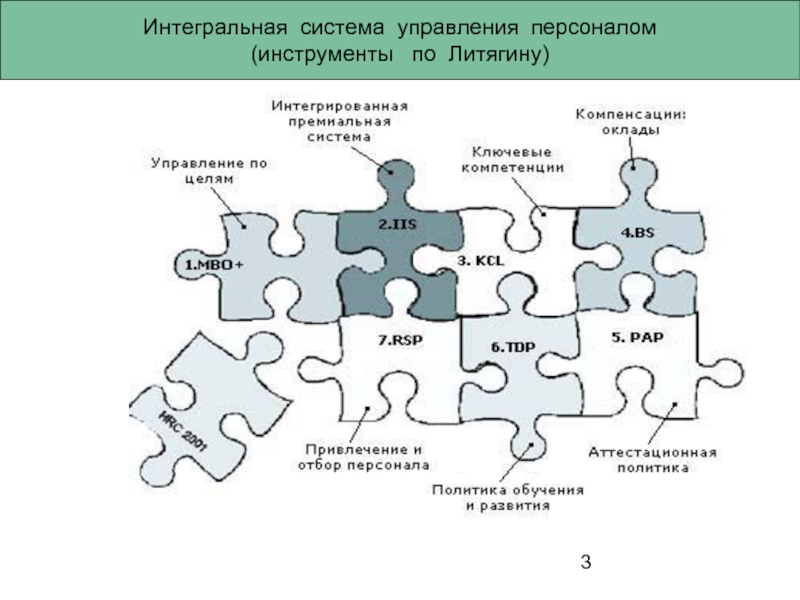 Интегральная система. Инструменты управления персоналом. Примитивная интегральная система. Стандарты руководителя по Литягину.