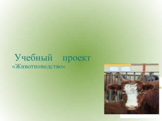 Учебный    проект
Животноводство