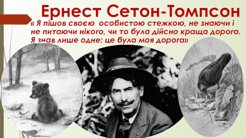 Краткие содержания сетона томпсона