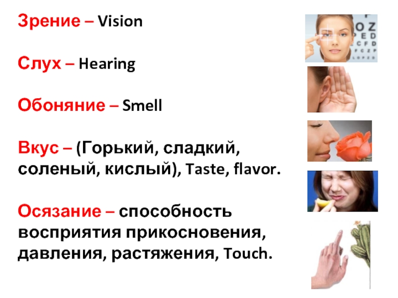 Обоняние осязание зрение слух одним словом. Зрение слух обоняние. Осязание обоняние зрение слух вкус. Осязание это способность воспринимать. Зрение слух обоняние осязание вкус одним словом.