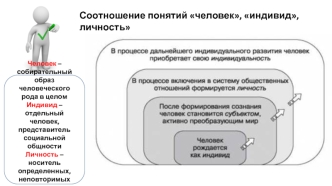 Соотношение понятий человек, индивид, личность