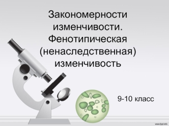 Закономерности изменчивости. Фенотипическая (ненаследственная) изменчивость