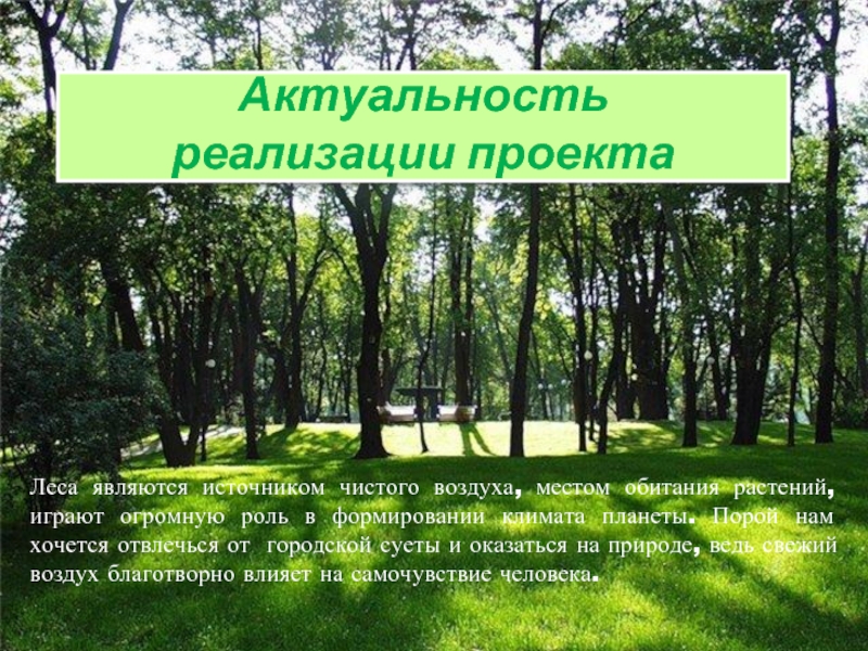 Что является лесом. Актуальность проект леса. Леса являются местами обитания. Проект "лес и здоровье. Воспитание. Ангарская волна презентация.