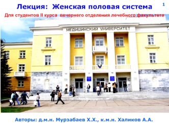 Женская половая система