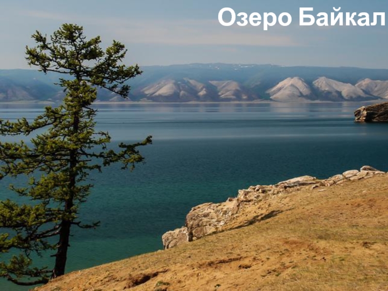 Реферат На Тему Озеро Байкал