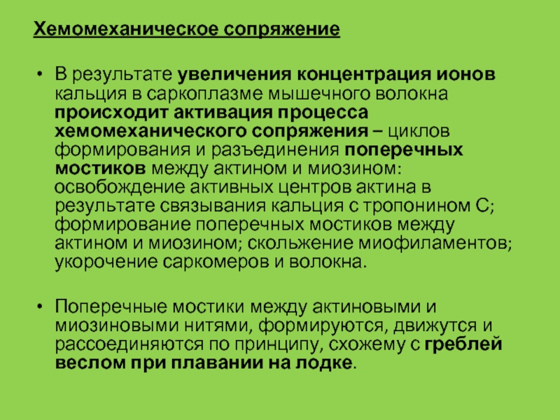 В результате увеличилась. В пожилом возрасте в мышечных волокнах концентрация ионов: выберите. При увеличении концентрации ионов са2+в саркоплазме происходит. Освобождение ионов кальция. Ионы CA В мышечного волокна.