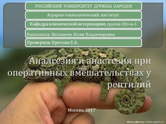Аналгезия и анестезия при оперативных вмешательствах у рептилий