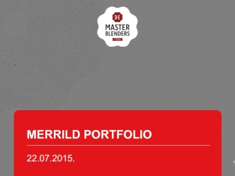 Merrild portfolio