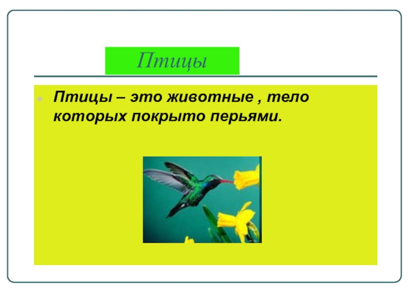 Презентация разнообразия животных 3 класс. Птицы это животные тело которых покрыто перьями. Царство животных 3 класс окружающий мир. Царство звери 3 класс. Третий класс окружающий мир царстве животных..