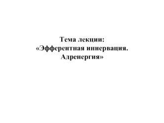 Эфферентная иннервация. Адренергия