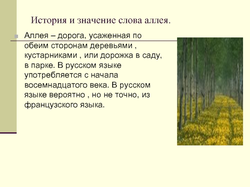 Значение слова предложение. Значение слова аллея. Аллея предложение. Предложение со словом аллея. Происхождение слова аллея.