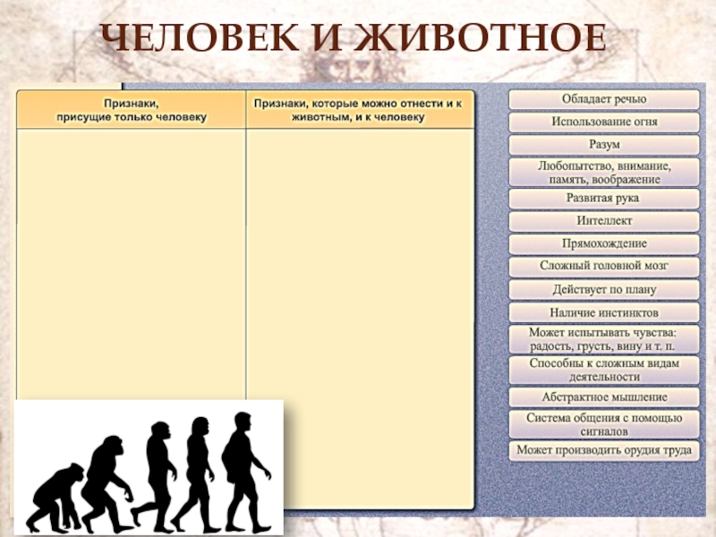 Конспект урока по обществознанию