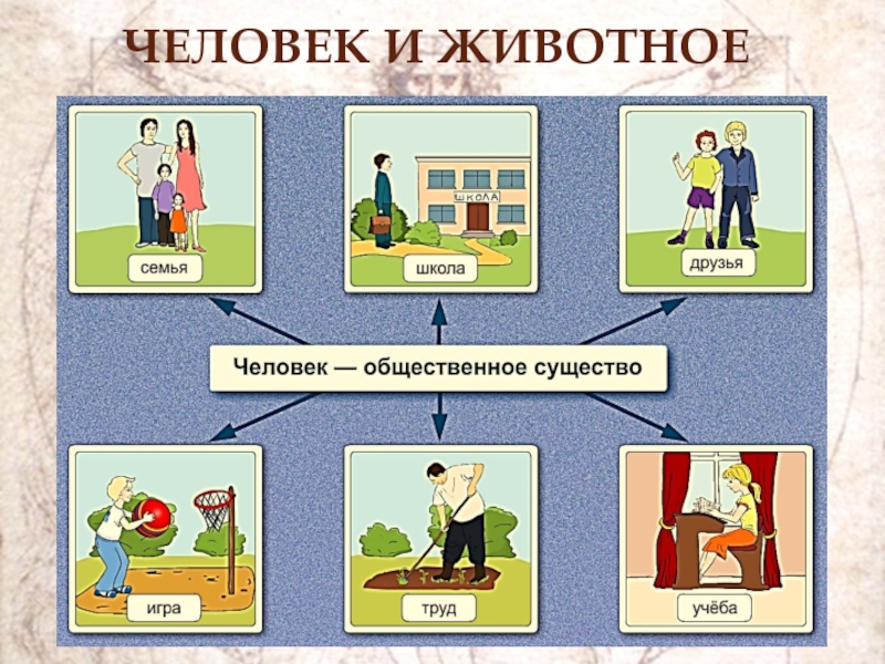 Что человека делает человеком презентация 8 класс