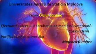Сiclul Cardiac