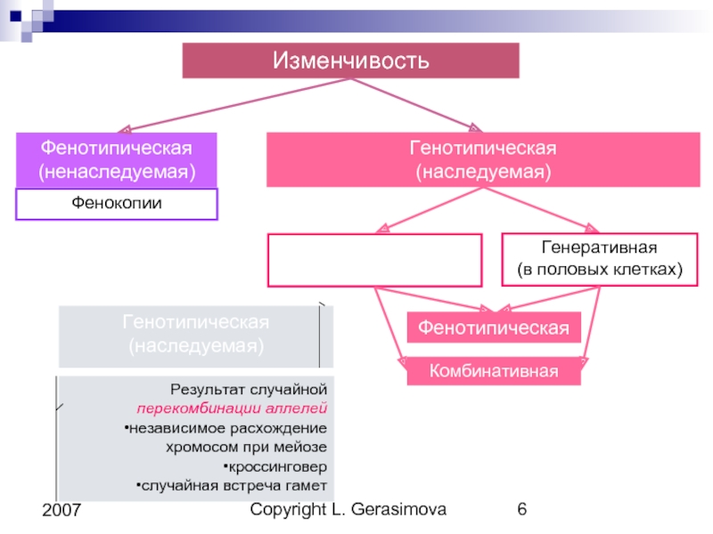 Примеры генотипической изменчивости и фенотипической изменчивости. Генотипическая изменчивость в генеративных клетках. Генотипическая и фенотипическая. Изменчивость фенотипическая и генотипическая в генеративных клетка. Случайная фенотипическая изменчивость.