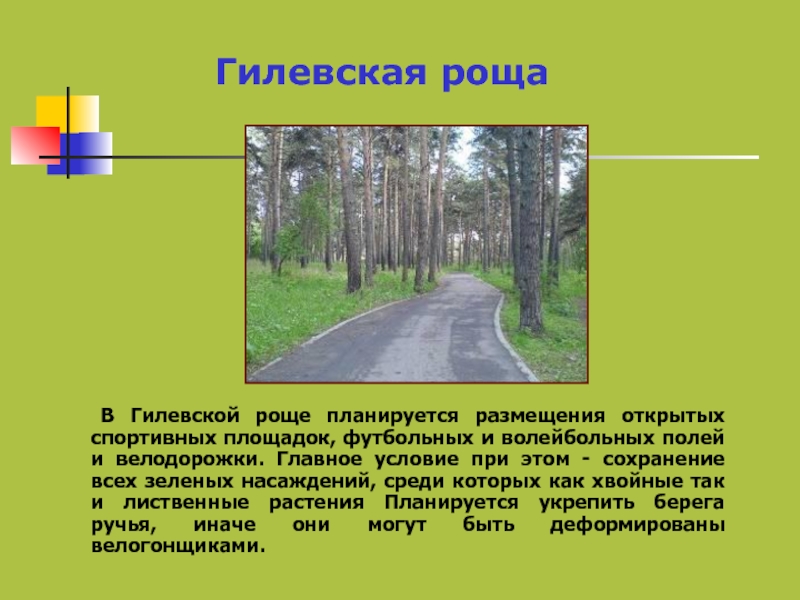 Рощу или рощу как правильно. Гилевская роща площадки. Сведения о роще. Волейбольная площадка Гилевская роща. Гилевская роща сообщение.