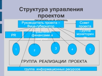 Структура управления проектомрегиональный уровень