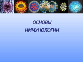 Основы иммунологии
