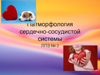 Патморфология сердечно-сосудистой системы