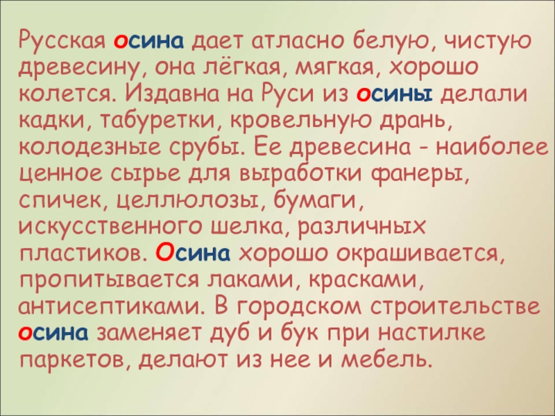 Корень слова осина. Словарное слово осина. Прилагательное к слову осина. Осина происхождение слова. Гдз издавна на Руси.