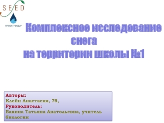 Комплексное исследование снега
на территории школы №1