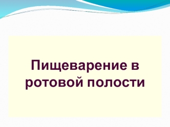 Пищеварение в ротовой полости