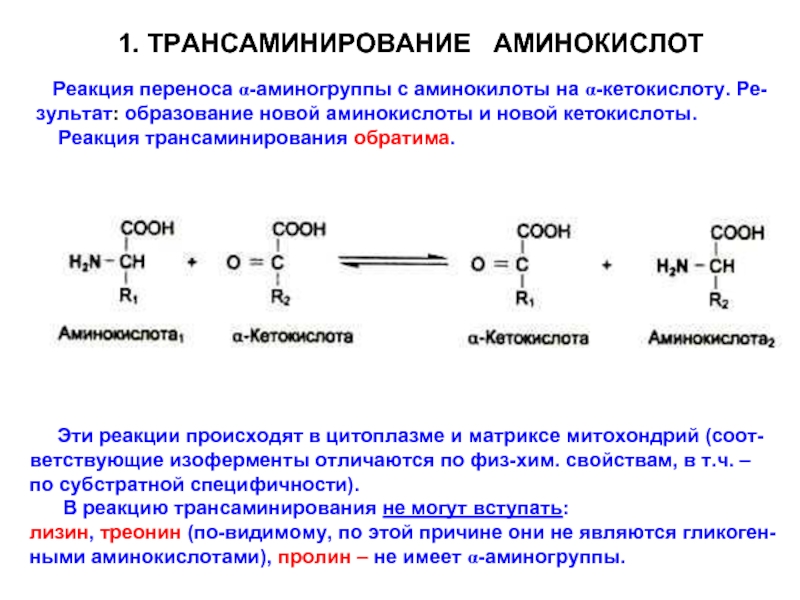 Кетокислоты аминокислот. Валин трансаминирование. Трансаминирование витамина в6. Переаминирование аминокислот общая схема. Общая схема реакции трансаминирования аминокислот.
